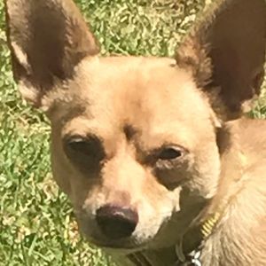 Meet your Posher, Marjan